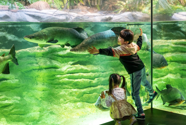 カワスイ 川崎水族館